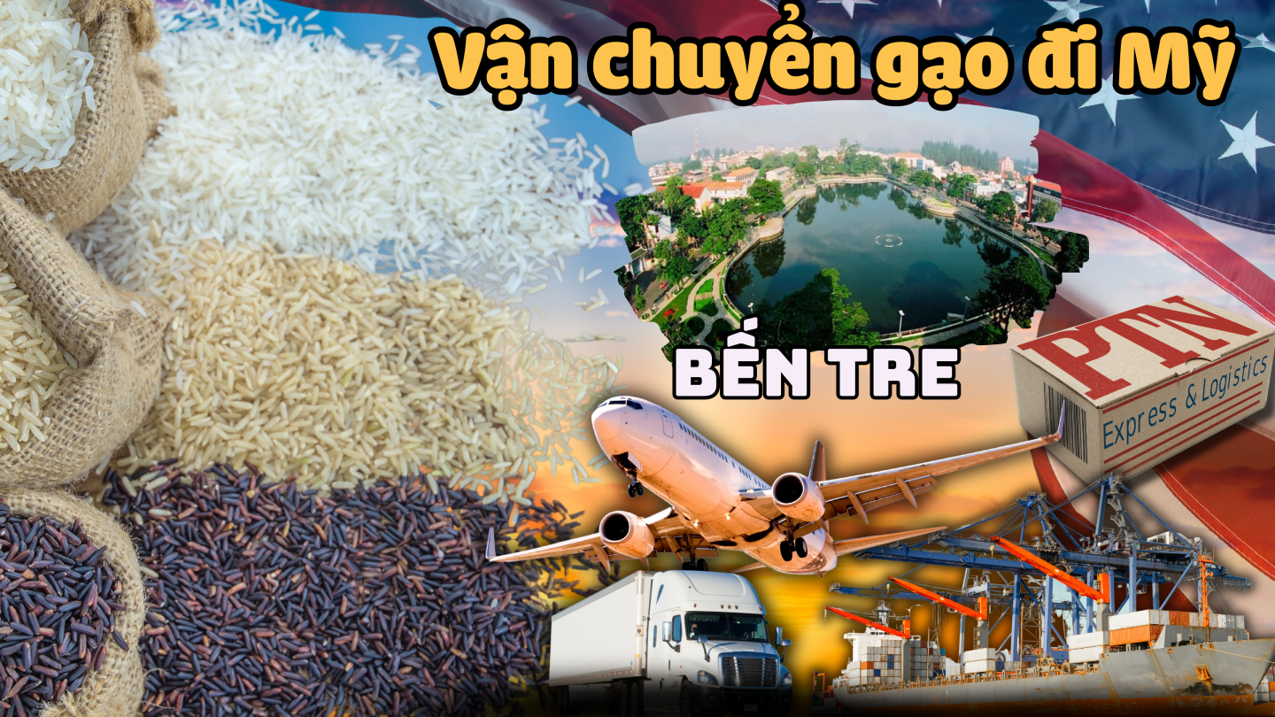 Vận chuyển gạo đi Mỹ tại Bến Tre