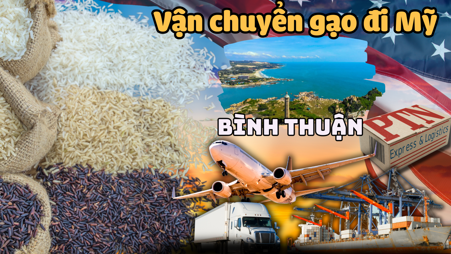 Vận Chuyển Gạo Đi Mỹ Tại Bình Thuận