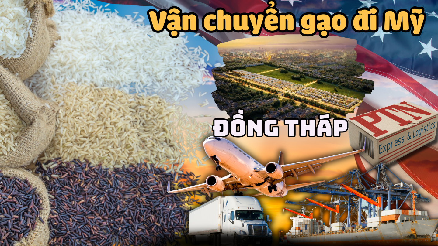 Vận chuyển gạo đi Mỹ tại Đồng Tháp