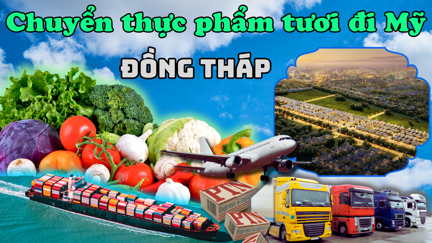 Chuyển thực phẩm tươi đi Mỹ tại Đồng Tháp