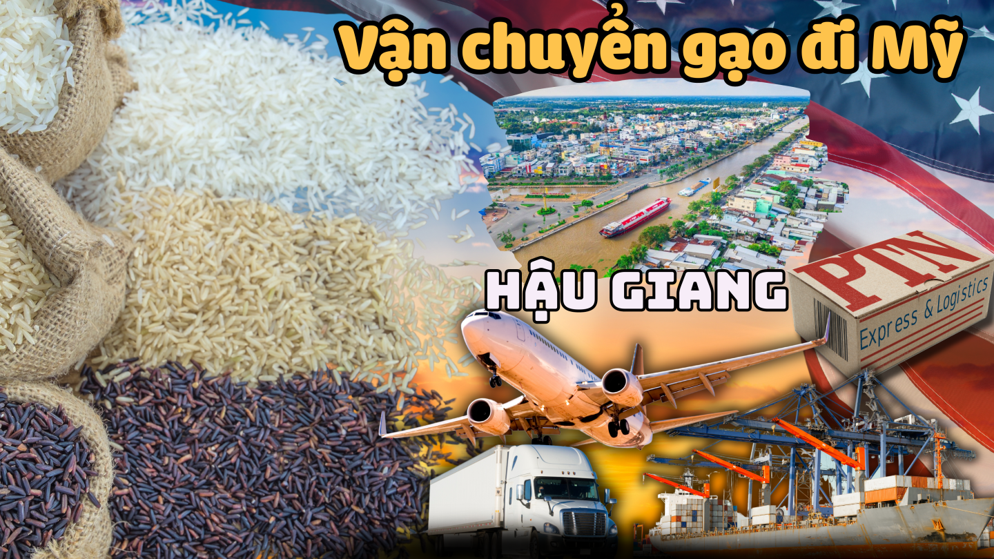 Vận chuyển gạo đi Mỹ tại Hậu Giang