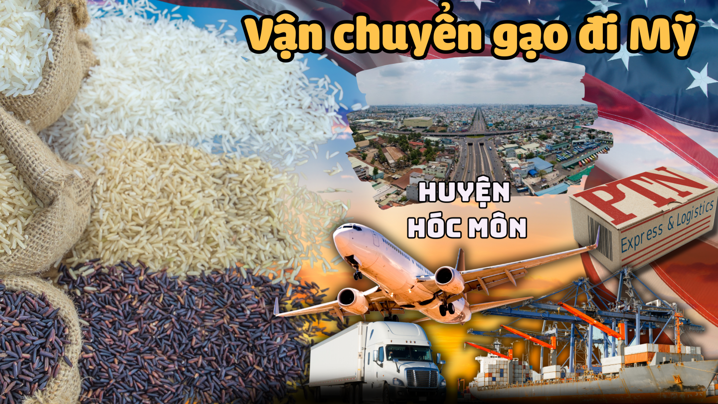 Vận chuyển gạo đi Mỹ tại Hóc Môn