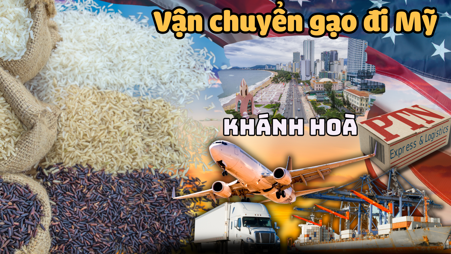 Chuyển gạo đi Mỹ tại Khánh Hòa