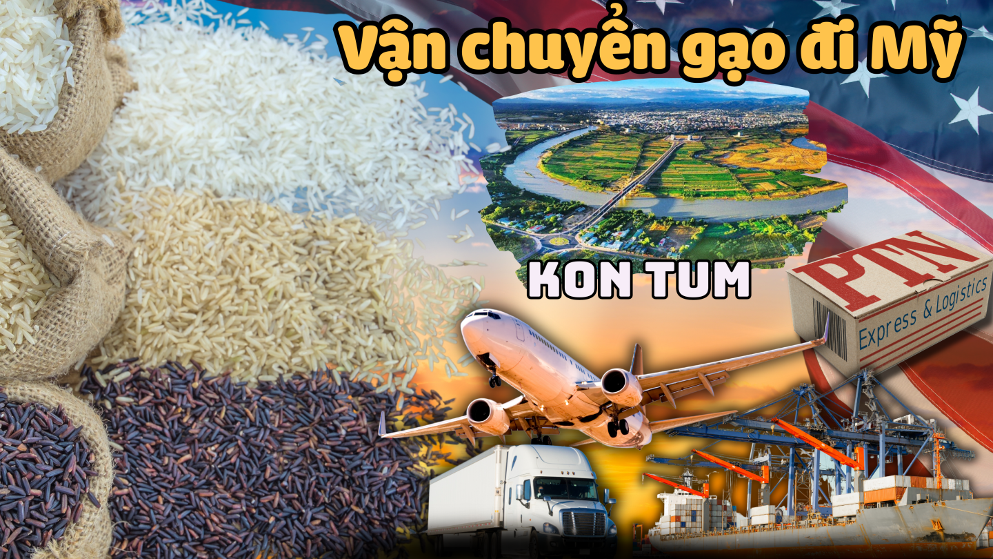 Vận chuyển gạo đi mỹ tại Kon Tum