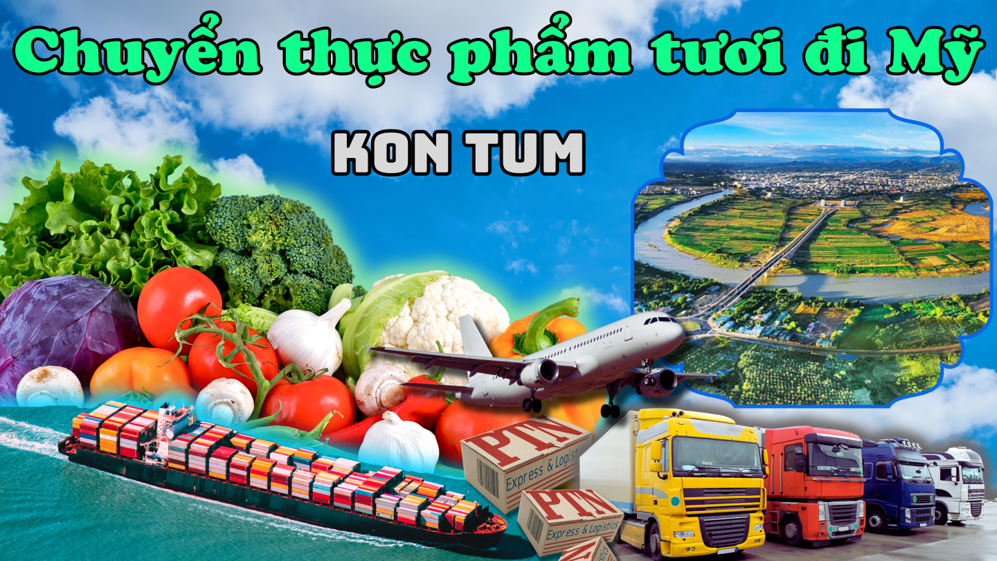 Chuyển thực phẩm tươi đi Mỹ tại KonTum