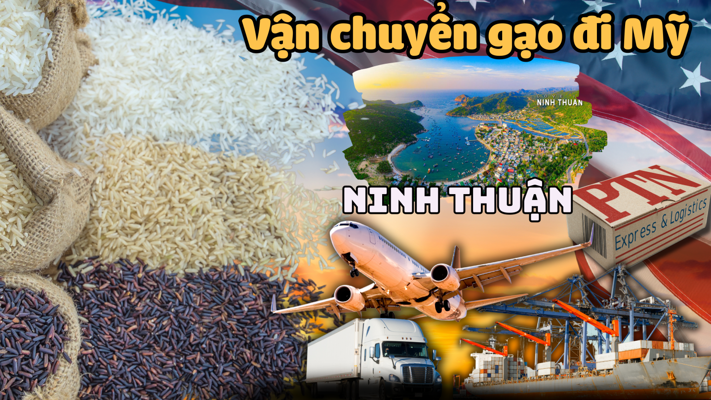 Chuyển gạo đi Mỹ tại Ninh Thuận
