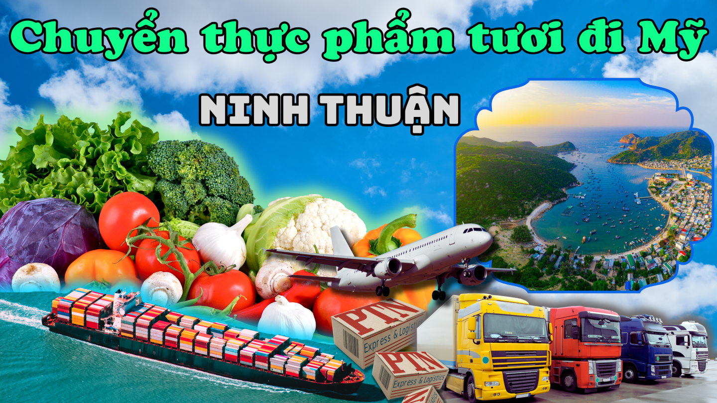 Chuyển thực phẩm tươi đi Mỹ tại Ninh Thuận