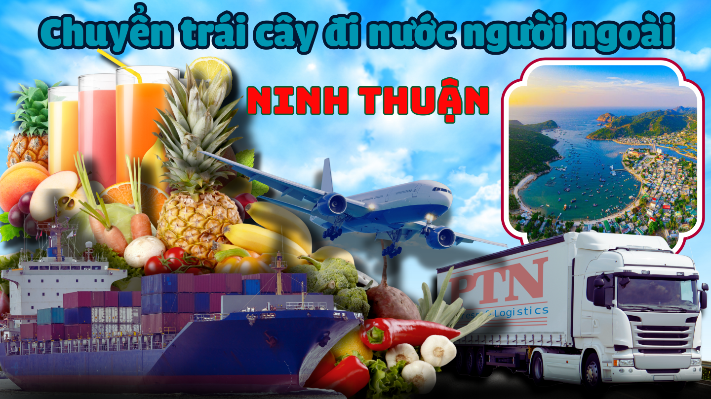 Gửi trái cây đi Mỹ tại Ninh Thuận