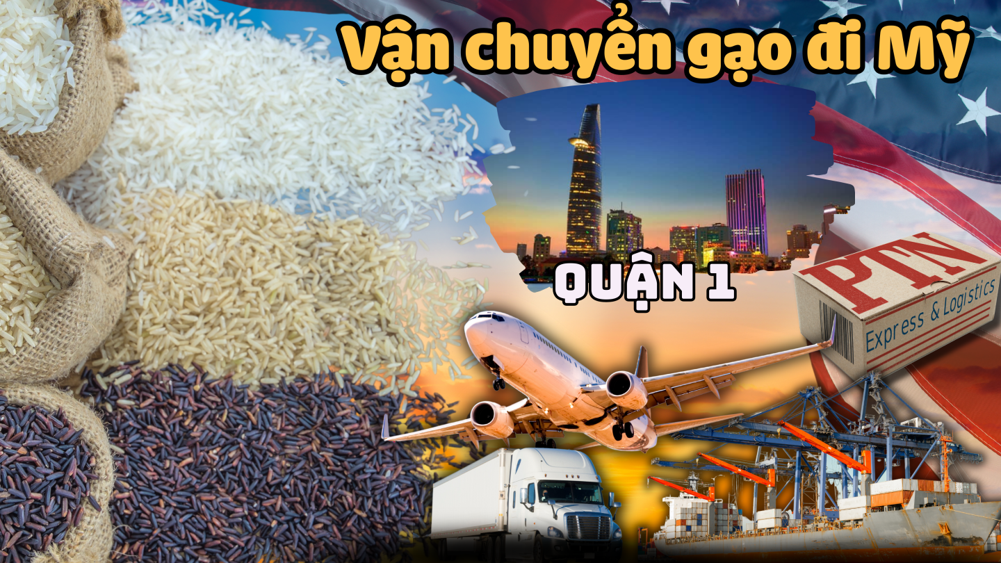 Vận chuyển gạo đi Mỹ tại Quận 1