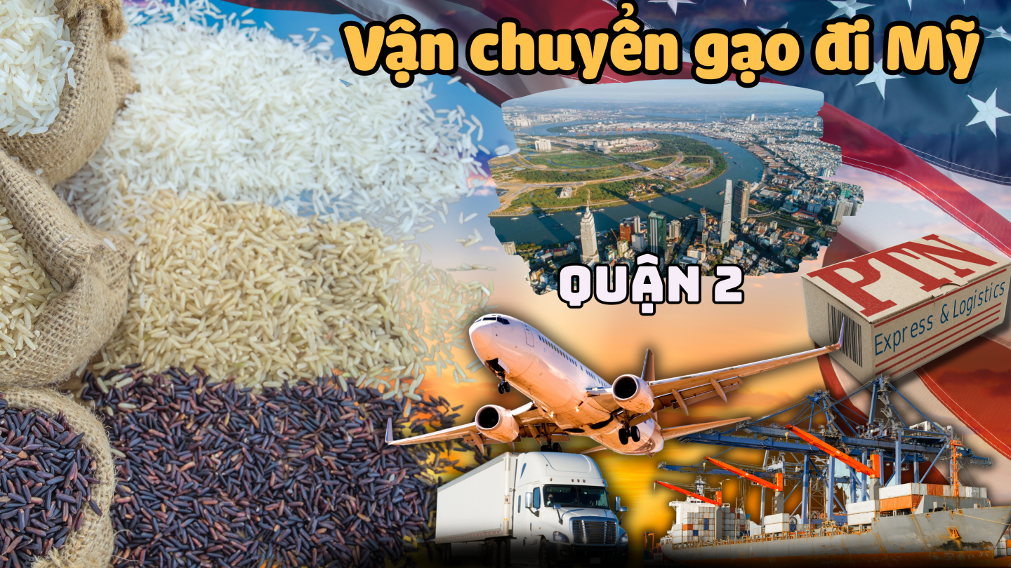 Vận chuyển gạo đi Mỹ tại Quận 2