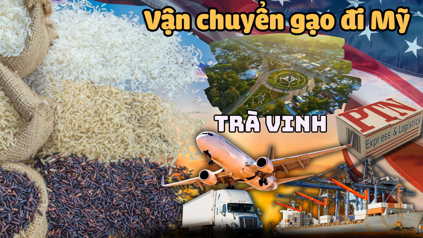 Vận chuyển gạo đi Mỹ tại Trà Vinh