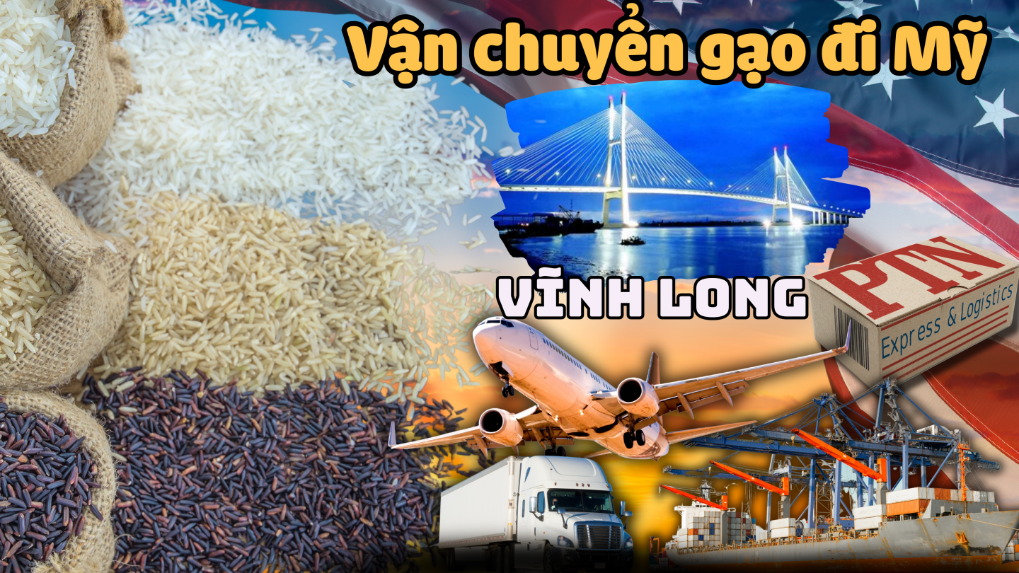 Vận chuyển gạo đi Mỹ tại Vĩnh Long